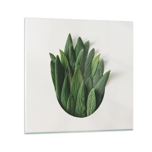 Obraz na skle - Neukojiteľná zvedavosť - 60x60 cm