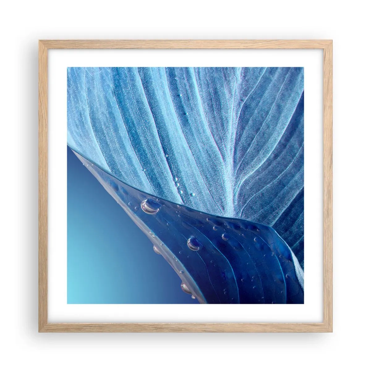 Plagát v ráme zo svetlého duba - Skryté kvapky modrej - 50x50 cm