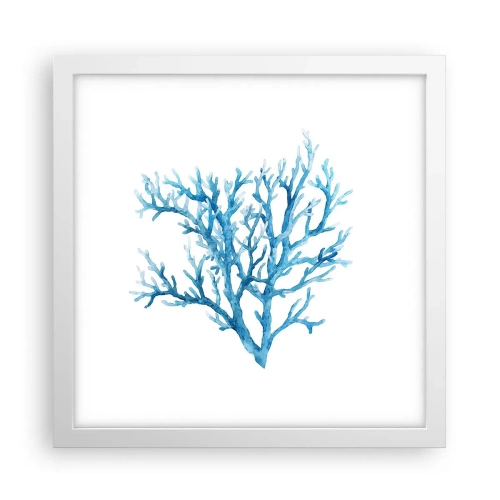 Plagát v bielom ráme - Morský filigrán - 30x30 cm
