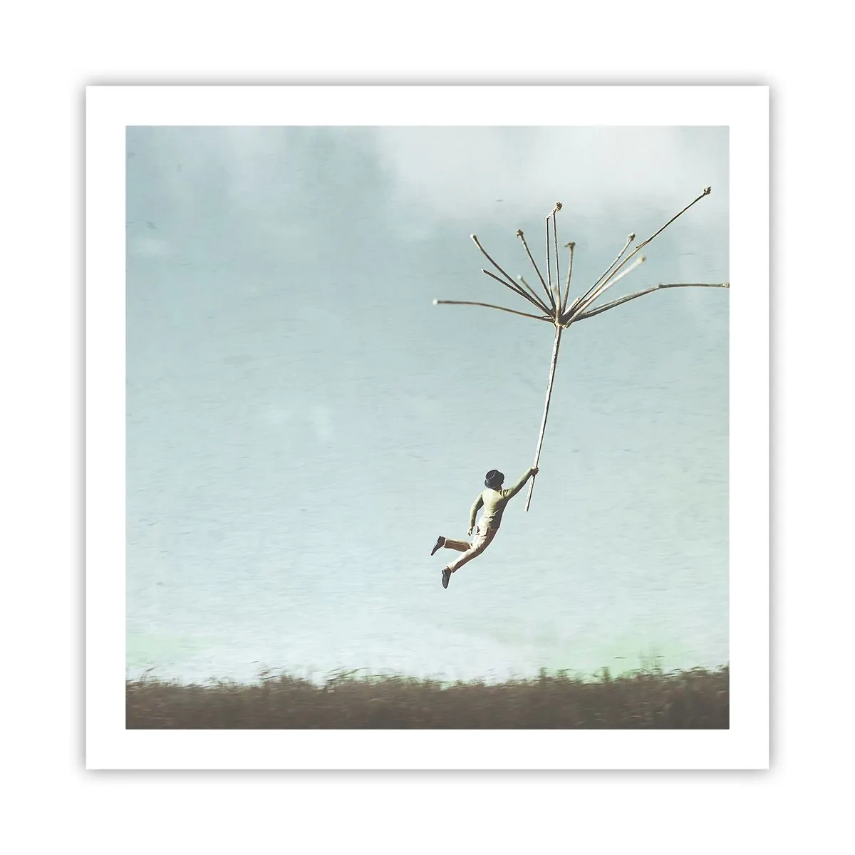 Plagát - Lietajúca púpava - 60x60 cm