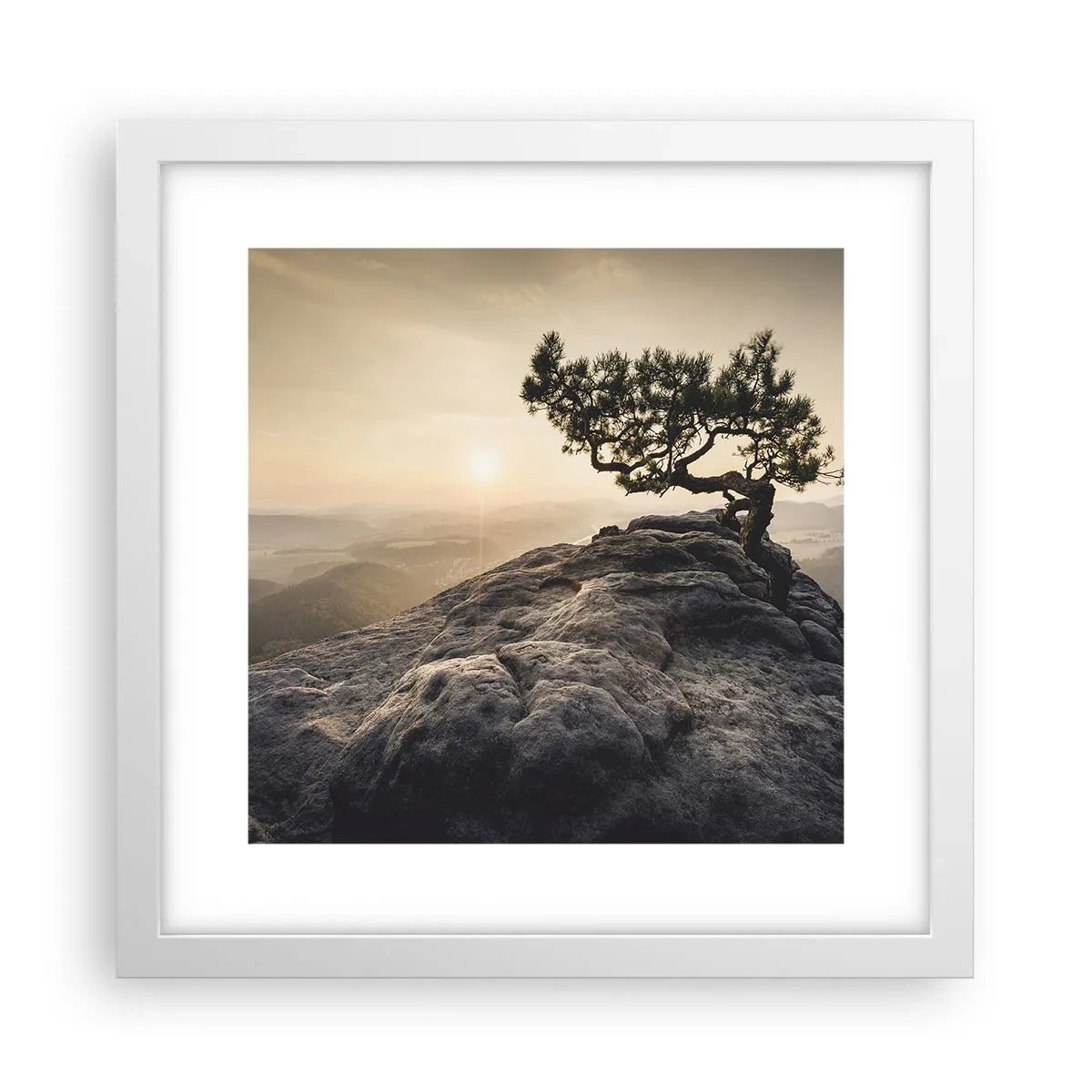 Plagát v bielom ráme - Život vždy víťazí - 30x30 cm