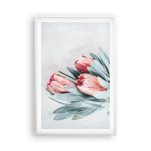 Plagát v bielom ráme - Zahanbené svojou vlastnou krásou - 61x91 cm