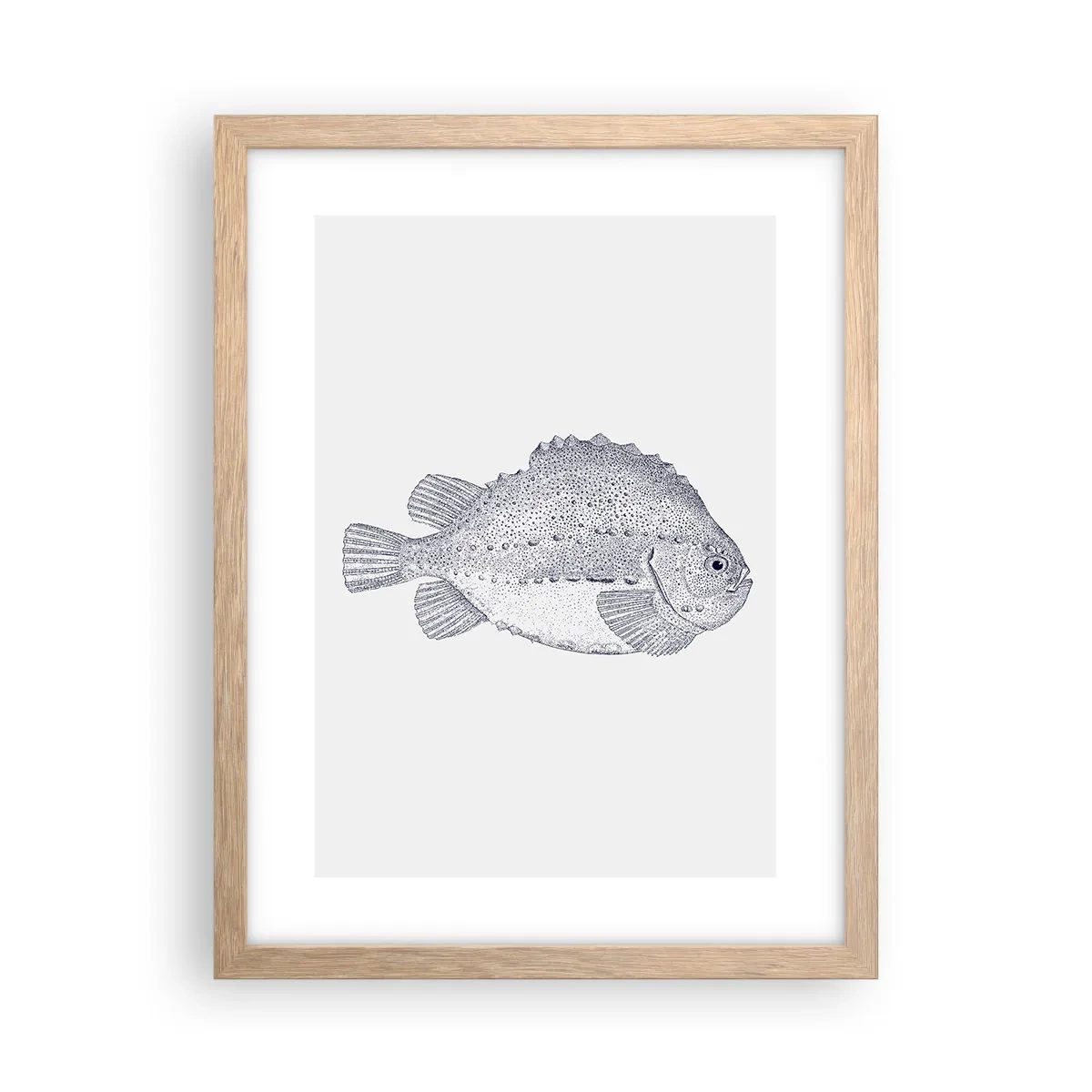 Plagát v ráme zo svetlého duba - Do albumu prírodovedca - 30x40 cm
