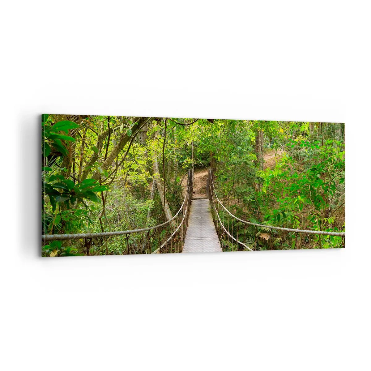 Obraz na plátne - Lebo na záhrade rastú popínavé rastliny - 100x40 cm
