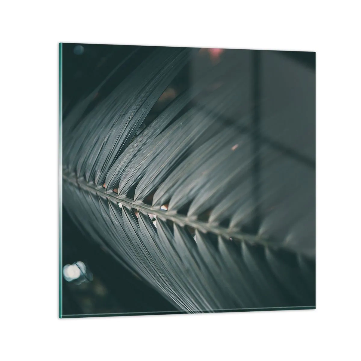 Obraz na skle - Presnosť prírody - 30x30 cm