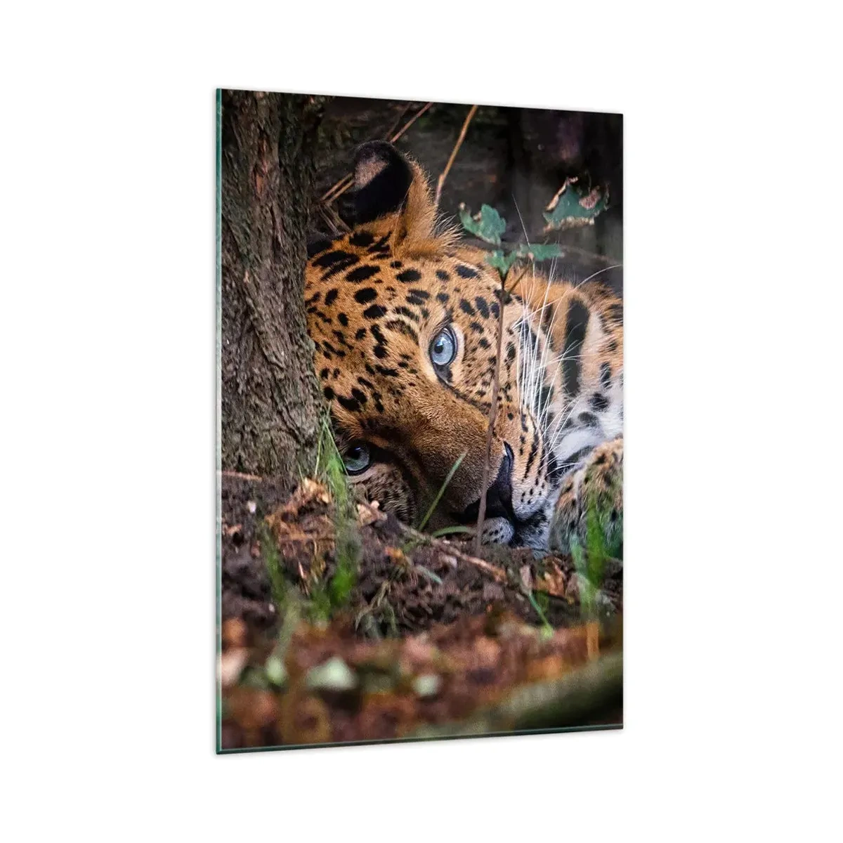 Obraz na skle - Ver mi - 80x120 cm