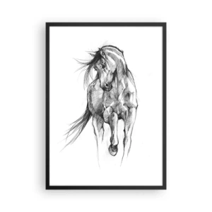 Plagát v čiernom ráme - Náčrt koňa v dynamickej póze - 50x70cm - V ladnom kluse - Moderná nástenná dekorácia do obývacej izby a spálne ARTTOR