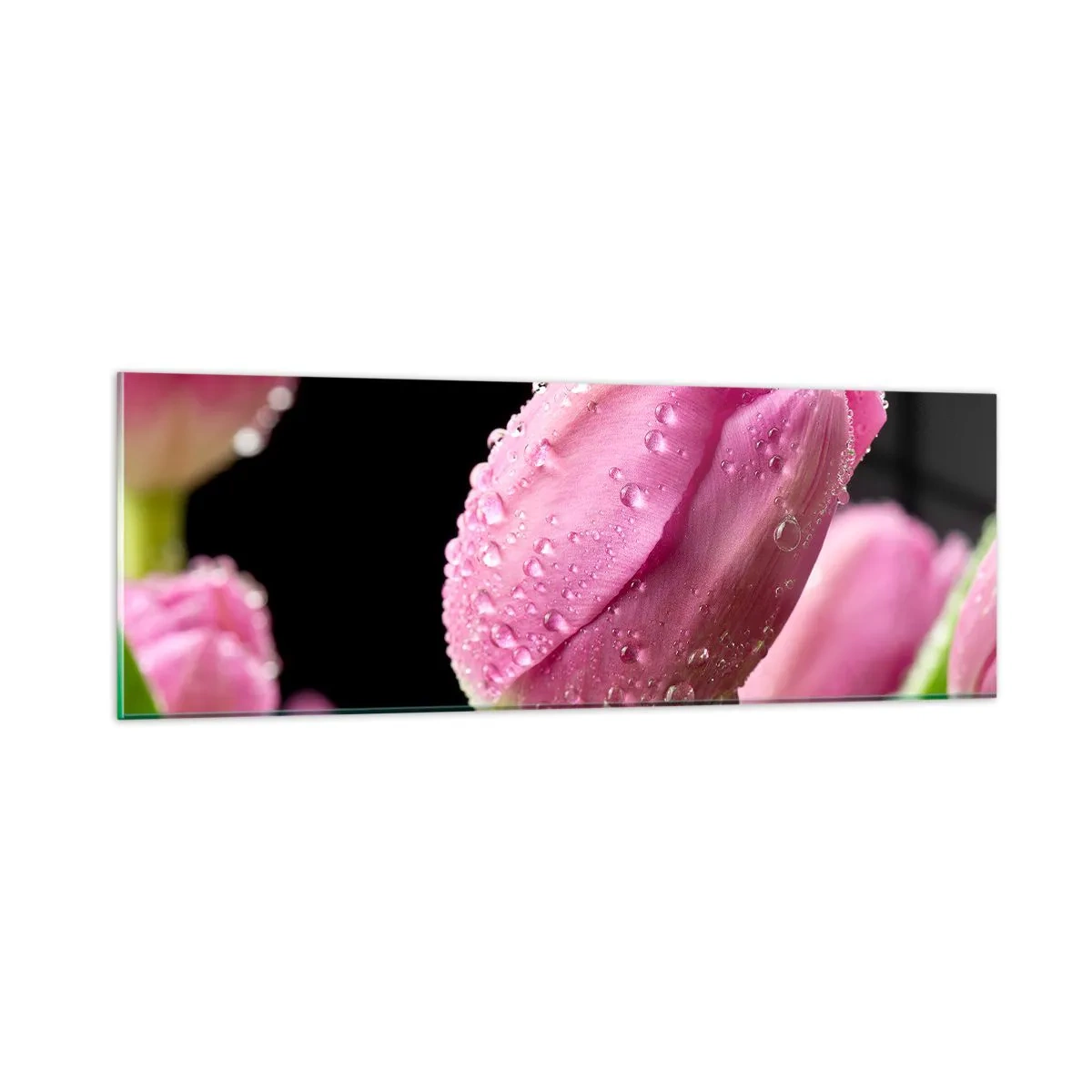 Obraz na skle - Ľaliový sen v rose - 90x30 cm
