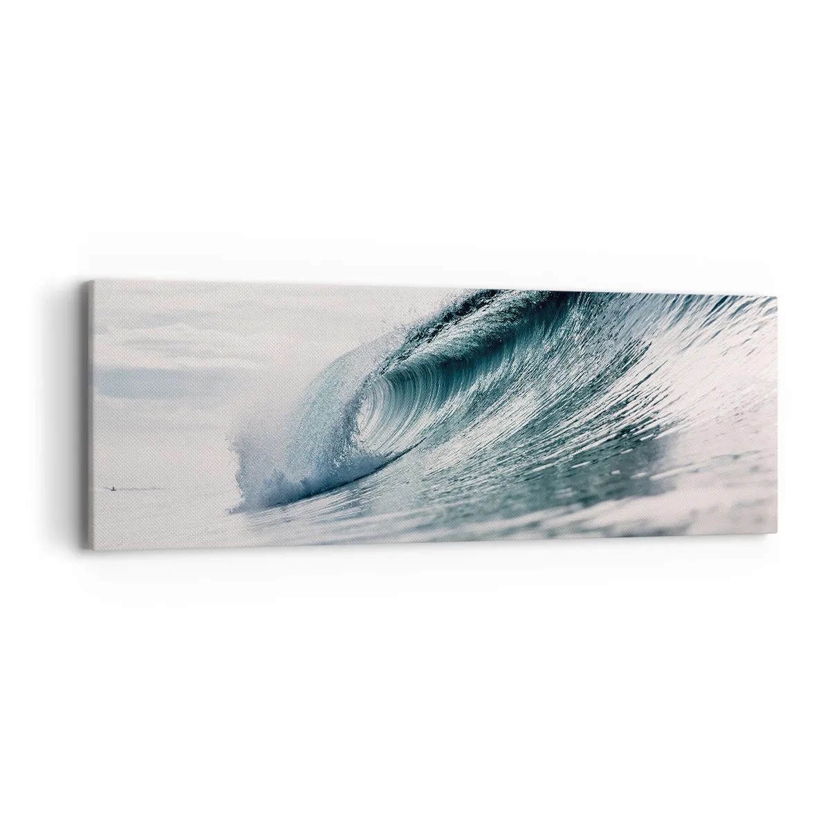 Obraz na plátne - Vodná špička - 90x30 cm