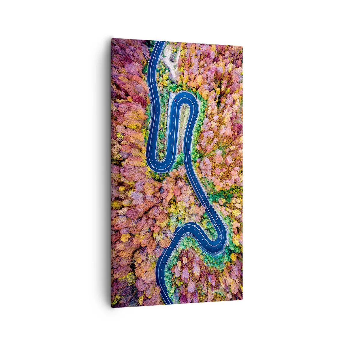 Obraz na plátne - Kľukatá cesta lesom - 55x100 cm