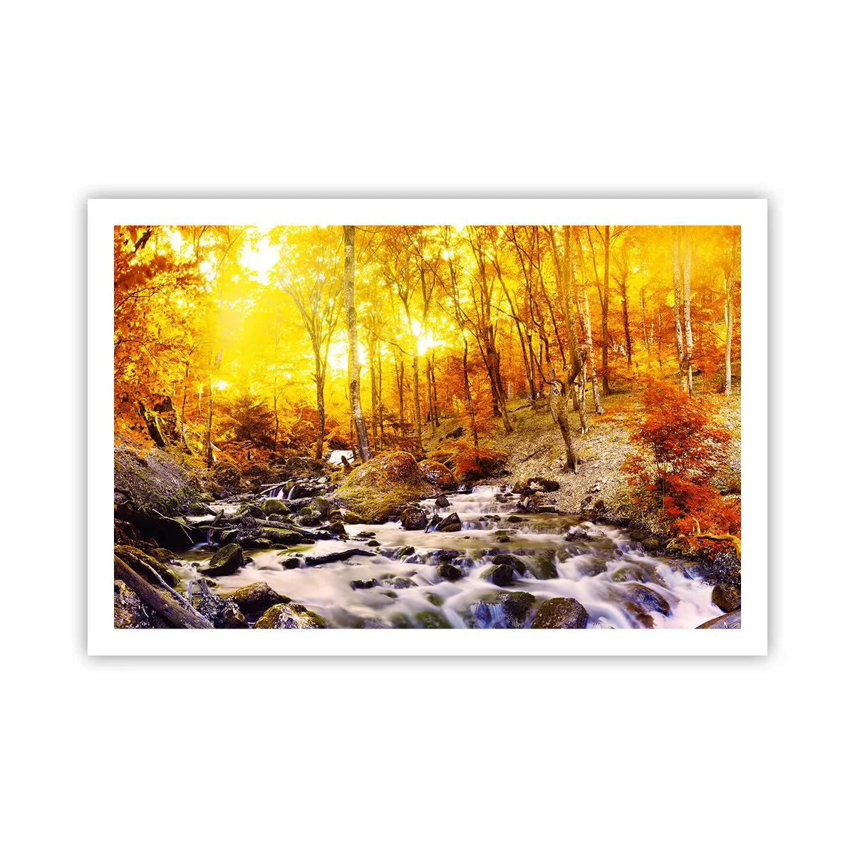 Plagát - Kamene zasadené do zlata a platiny - 91x61 cm