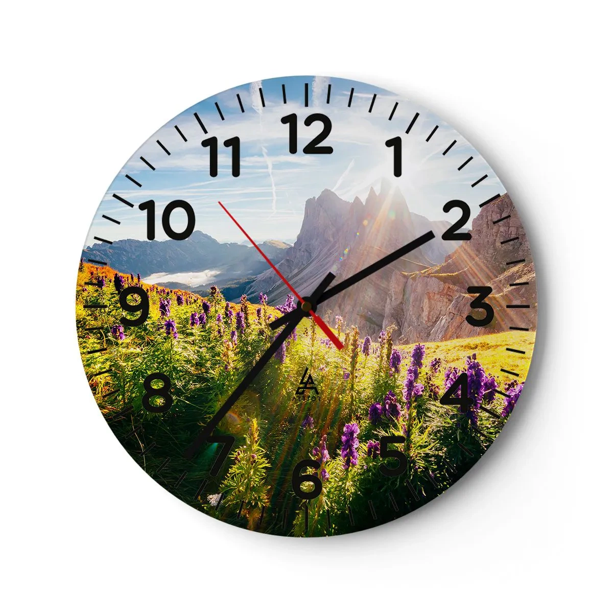 Nástenné hodiny - Tajomný život bylín - 30x30 cm