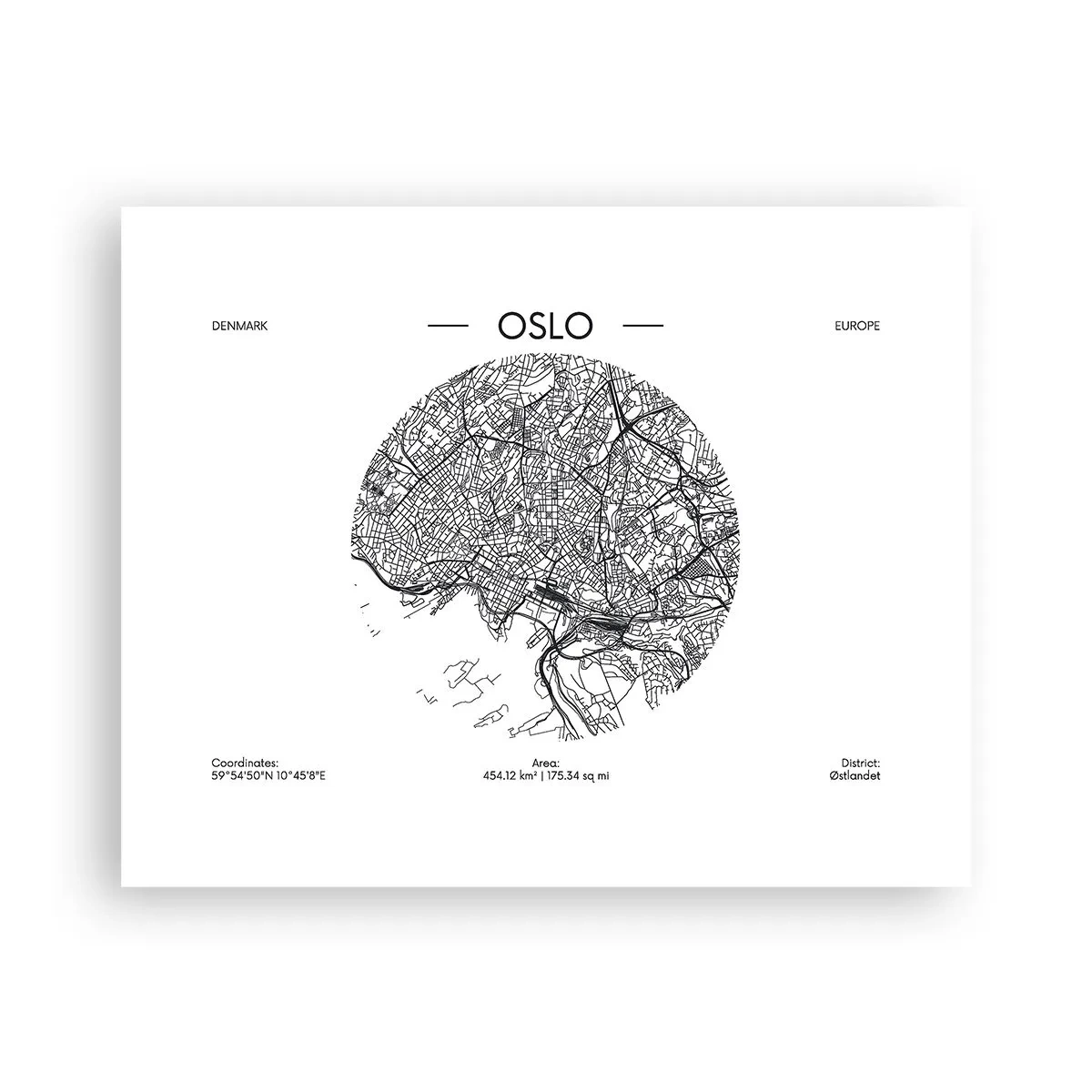 Plagát - Anatómia Osla - 50x40 cm