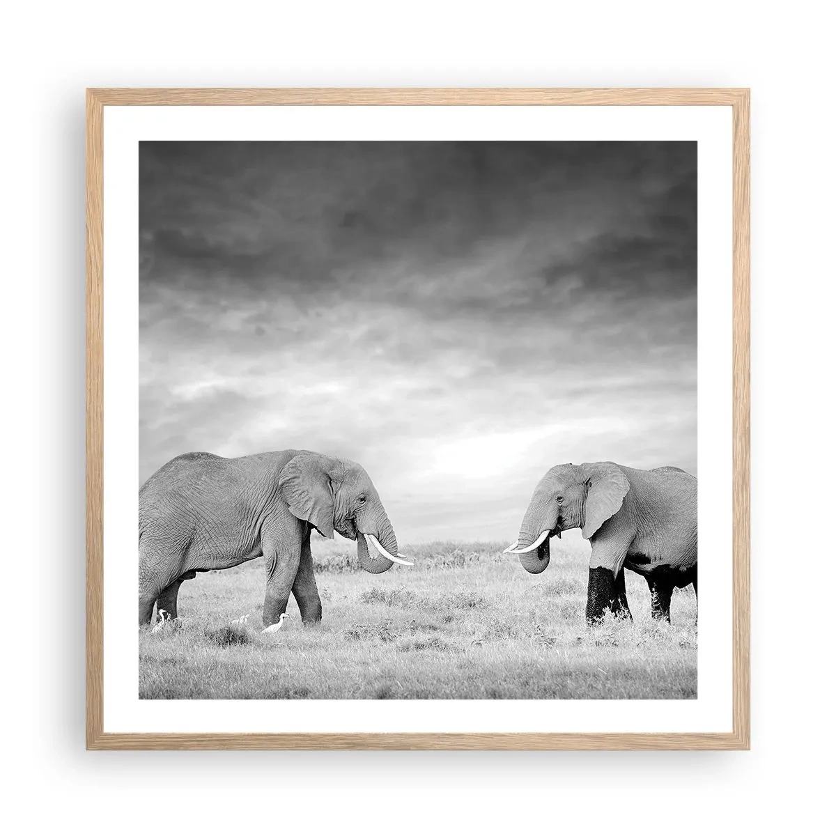 Plagát v ráme zo svetlého duba - Šedá je krásna - 60x60 cm