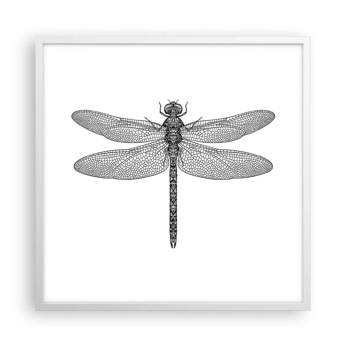 Plagát v bielom ráme - Presnosť prírody - 60x60 cm