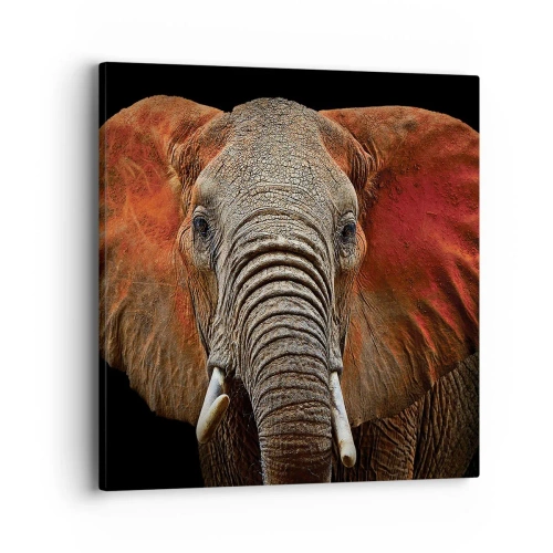 Obraz na plátne - Som divoký, a ty? - 40x40 cm