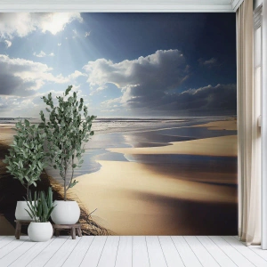 Fototapeta Premium Sand - Pláž, divoká pláž - Pláž, More, Duny - 100x70 cm