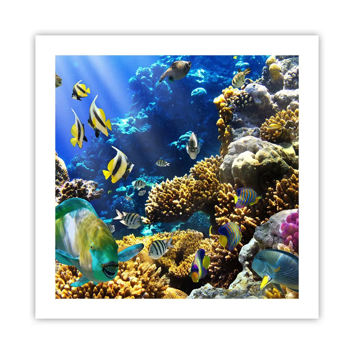 Plagát - Veľká prevádzka na prázdninovom chodníku - 50x50 cm