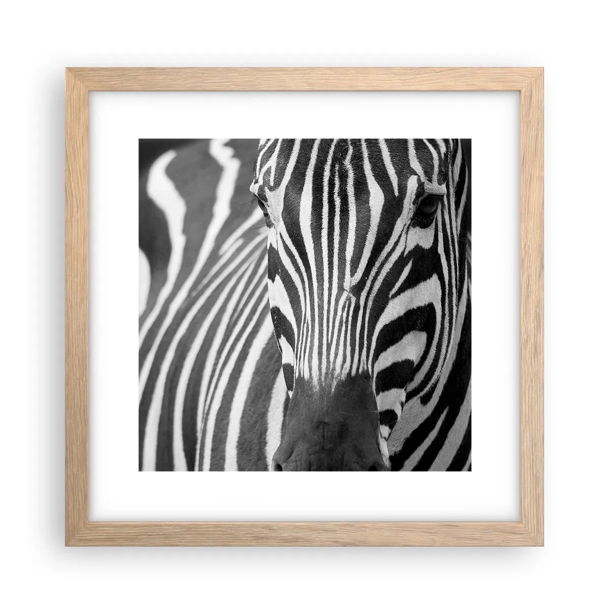 Plagát v ráme zo svetlého duba - Svet je čierno-biely - 30x30 cm