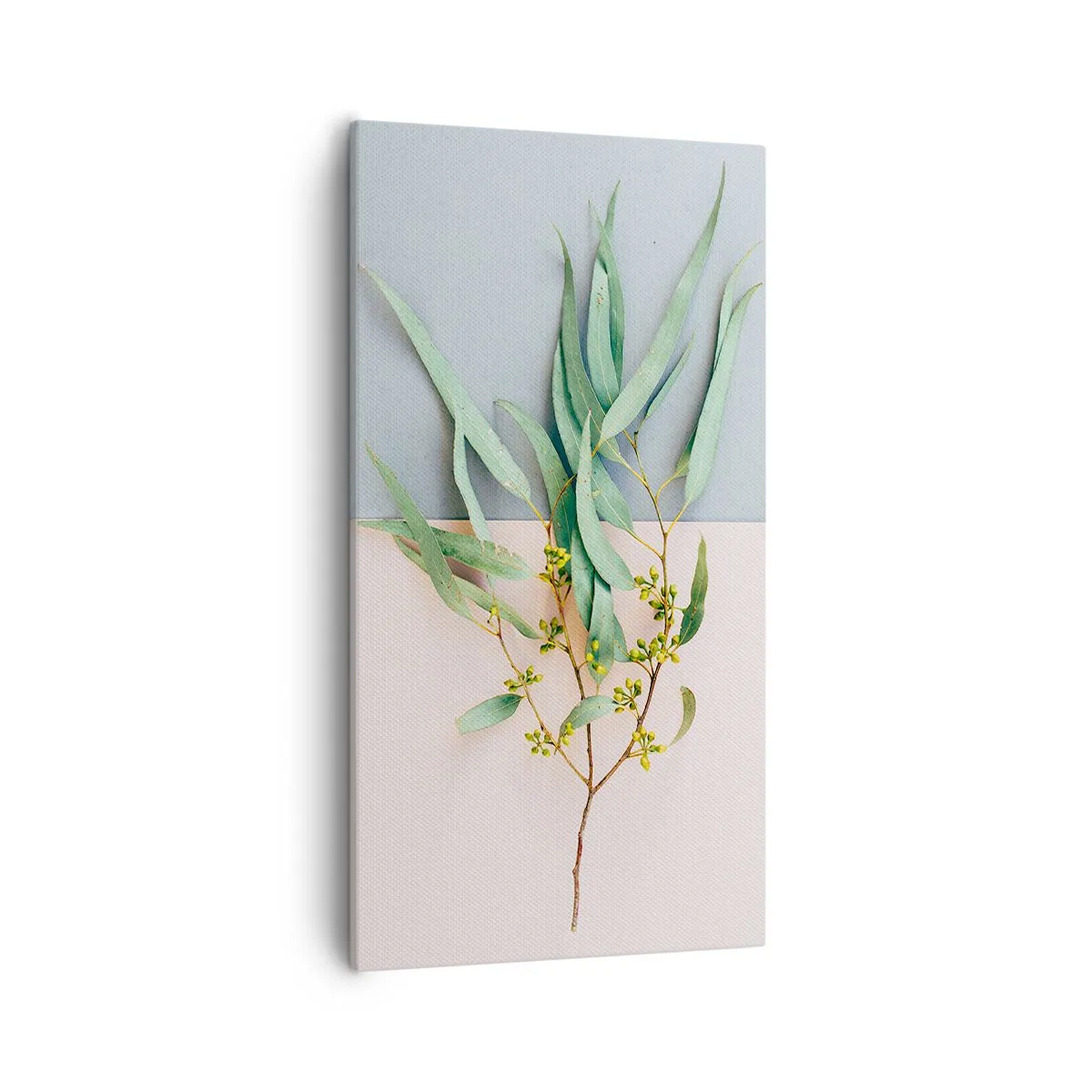 Obraz na plátne - Pastelová jemnosť - 55x100 cm