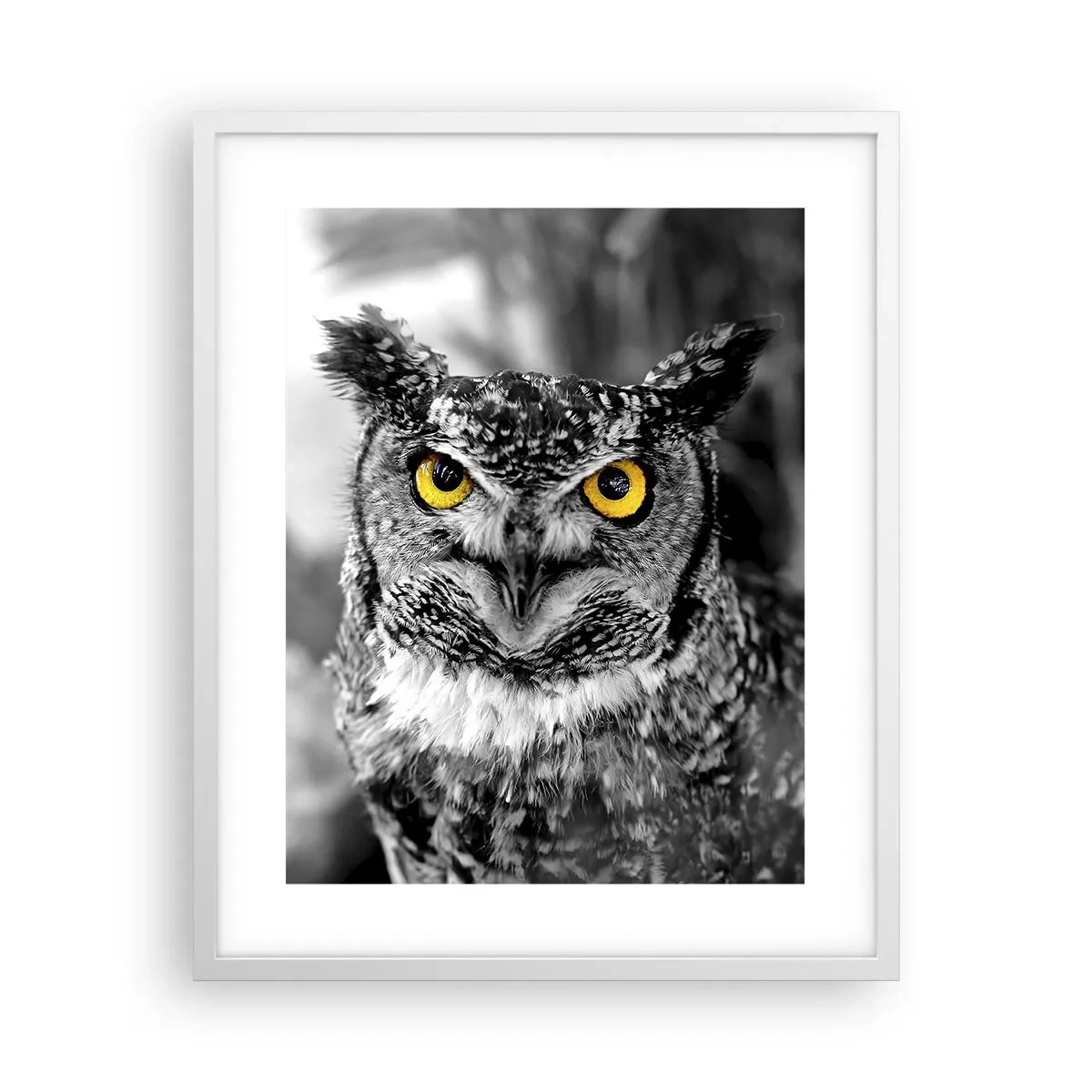 Plagát v bielom ráme - Nič sa neschová - 40x50 cm