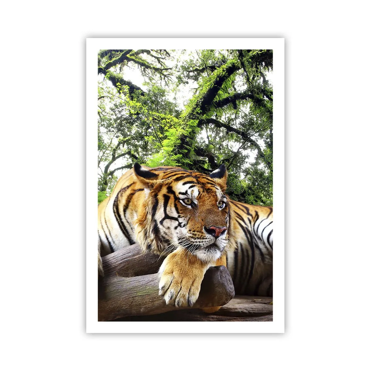 Plagát - S úctou - 61x91 cm