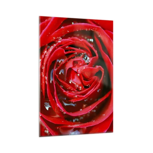 Obraz na skle - V kvapkách rosy - 80x120 cm