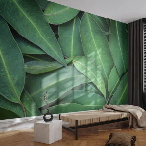 Fototapeta Premium Canvas - Šťavnaté a svieže - Listy, Eukalyptus, Príroda - 100x70 cm