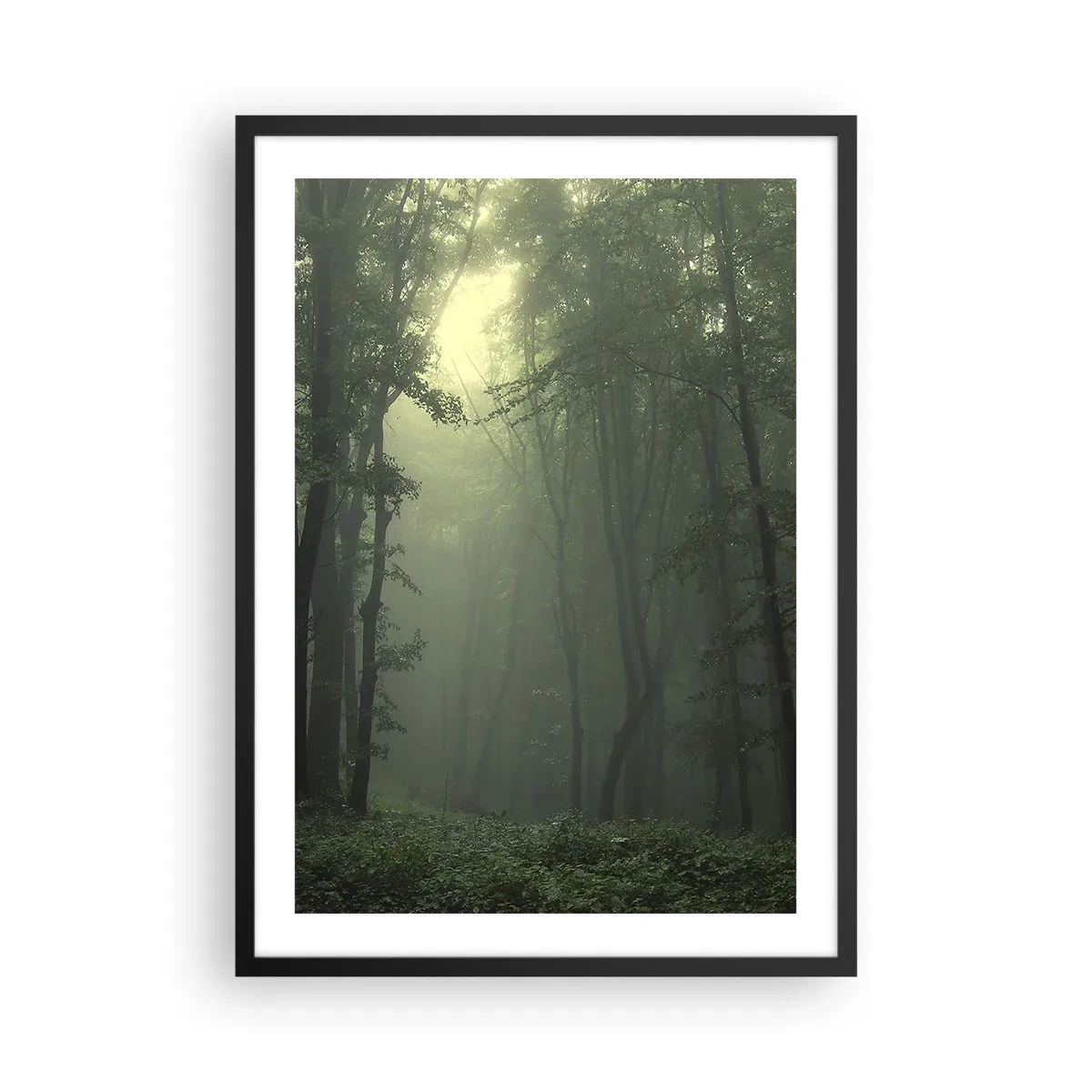 Plagát v čiernom ráme - Hmlisté stromy v zelenom lese - 50x70cm - Než sa prebudí - Moderná nástenná dekorácia do obývacej izby a spálne ARTTOR