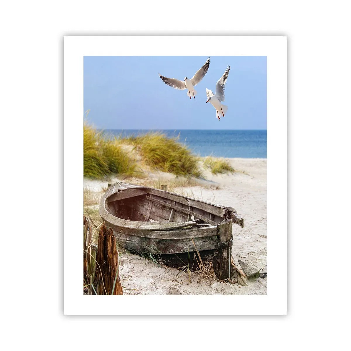 Plagát - Vetrom ožiarené - 40x50 cm