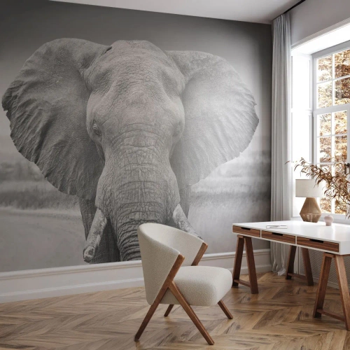 Fototapeta Premium Sand - Vitajte v mojom svete - Slon, Afriky, Zvieratá - 100x70 cm