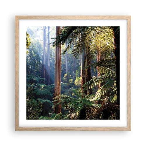 Plagát v ráme zo svetlého duba - Poviedka lesa - 50x50 cm