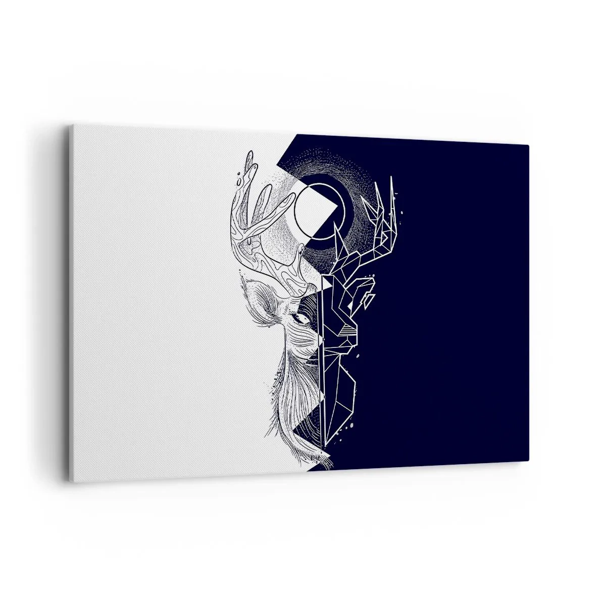 Obraz na plátne - Boj a jednota opakov - 120x80 cm