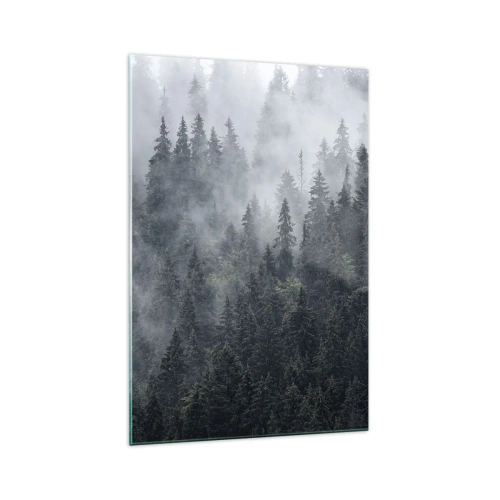 Obraz na skle - Lesné svitania - 70x100 cm