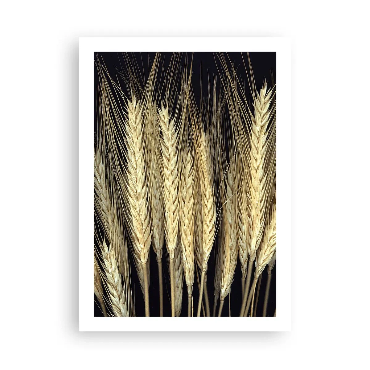 Plagát - Rustikálna mágia - 50x70 cm