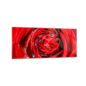 Obraz na skle - V kvapkách rosy - 120x50 cm
