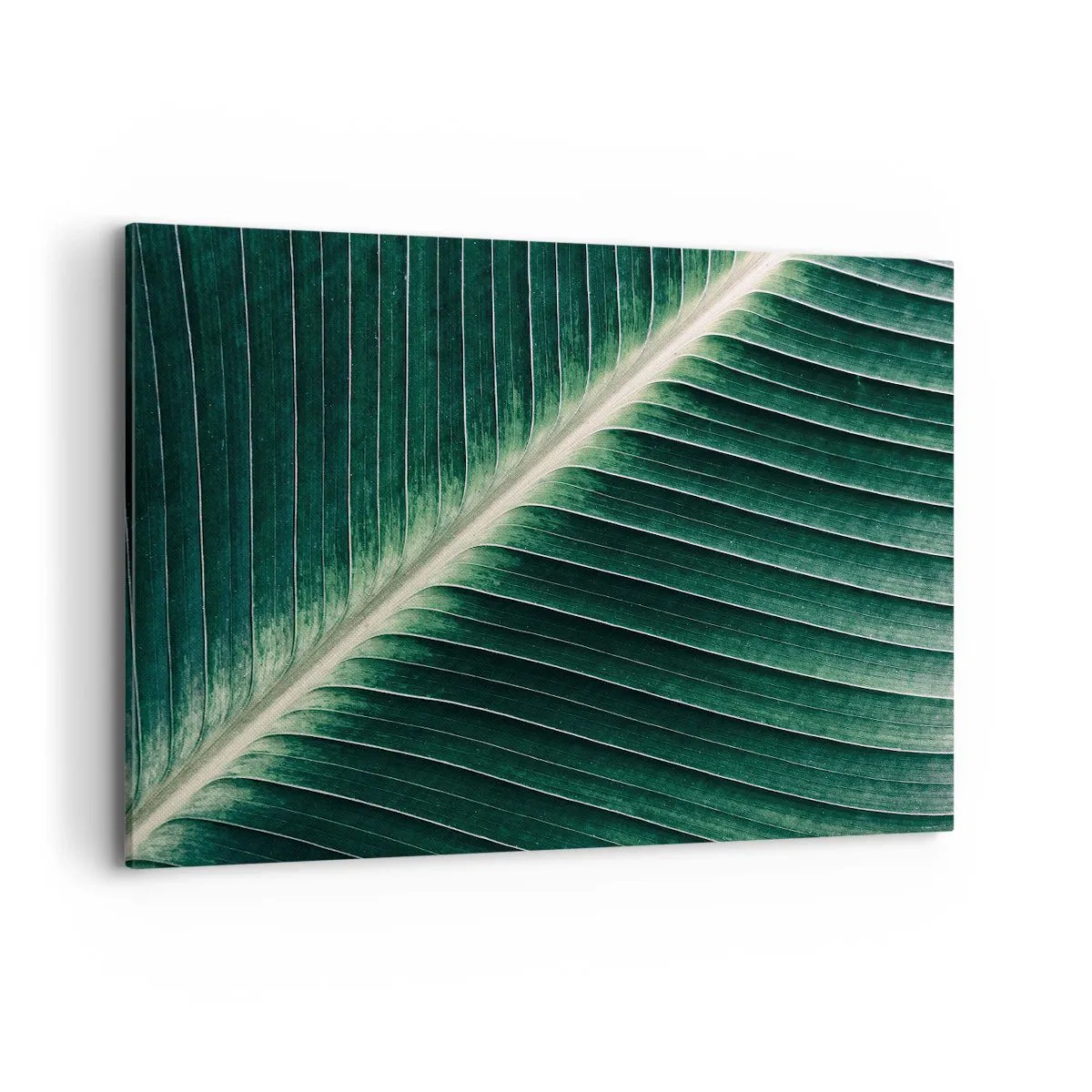 Obraz na plátne - Rytmus prírody - 100x70 cm