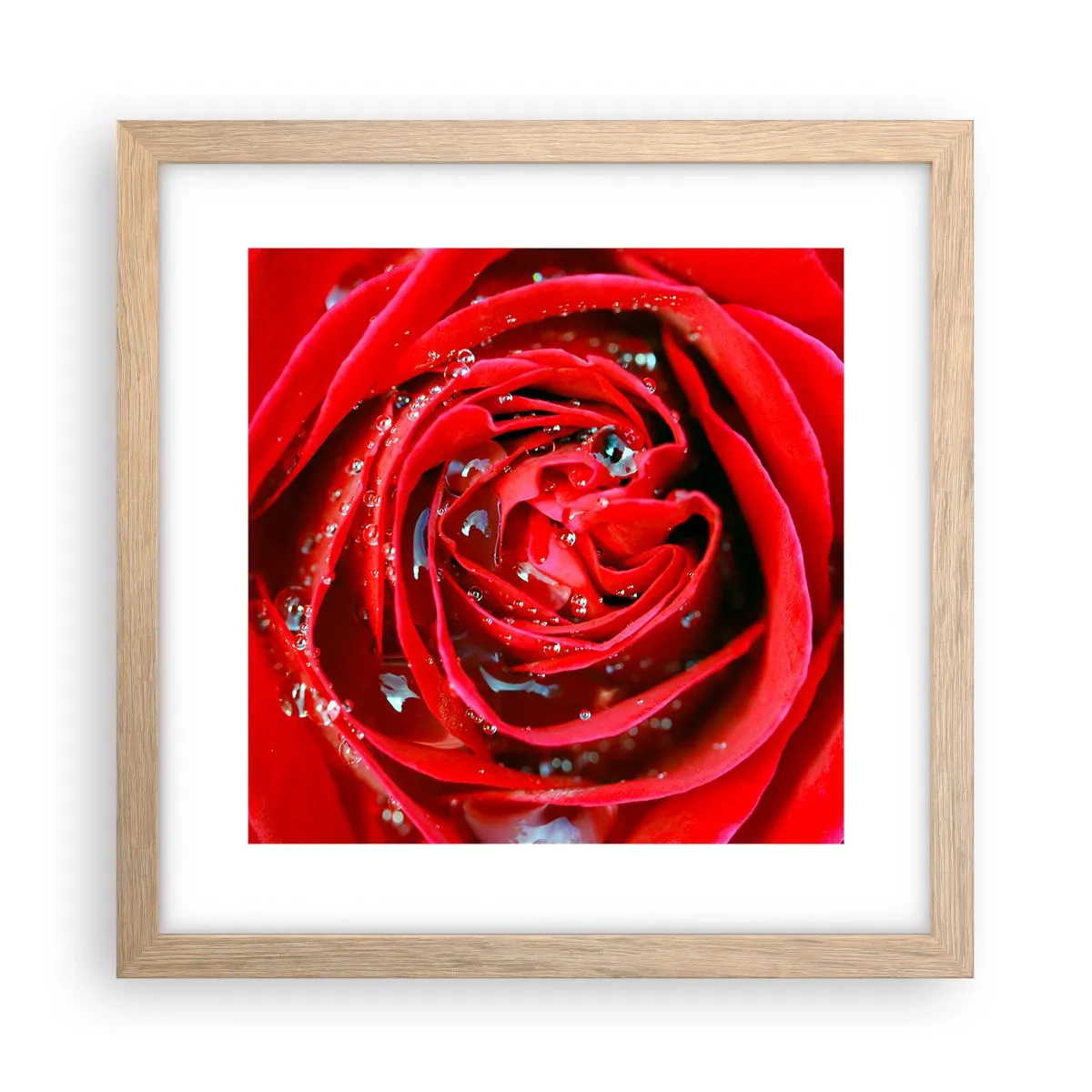 Plagát v ráme zo svetlého duba - V kvapkách rosy - 30x30 cm