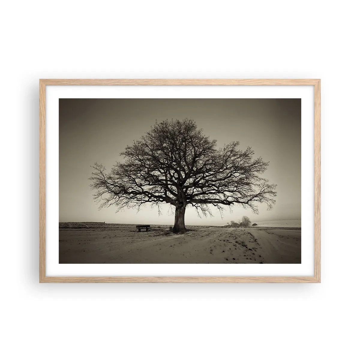 Plagát v ráme zo svetlého duba - Odtiaľ až do večnosti - 70x50 cm