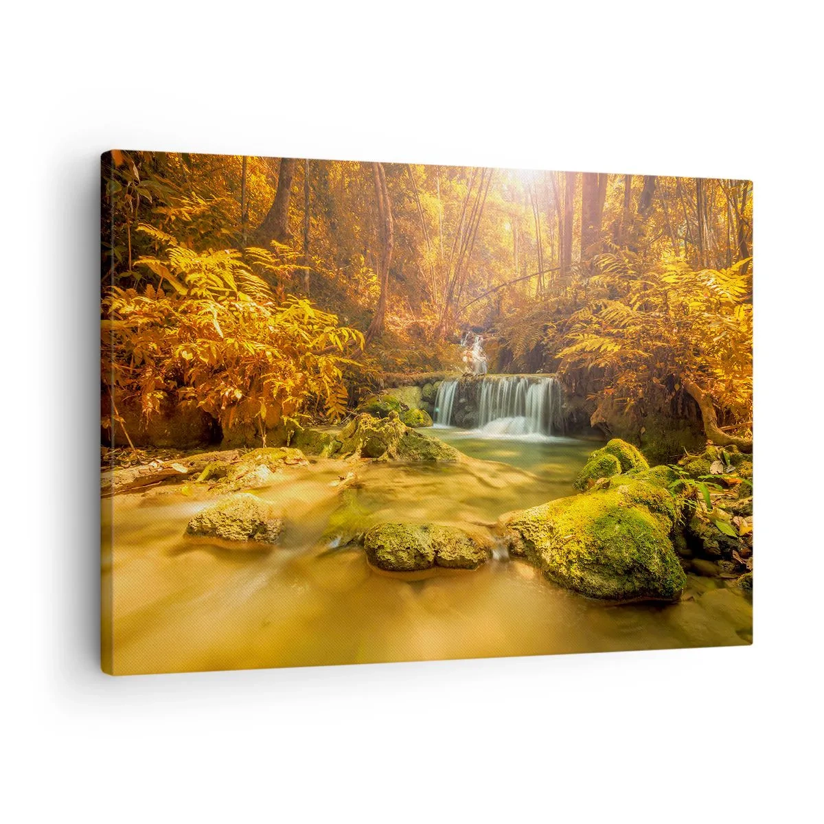 Obraz na plátne - Zlatý vodopád v jesennom lese obklopenom zeleňou - 70x50cm - Lesný vodopád v zlate - Moderná nástenná dekorácia do obývacej izby a spálne ARTTOR