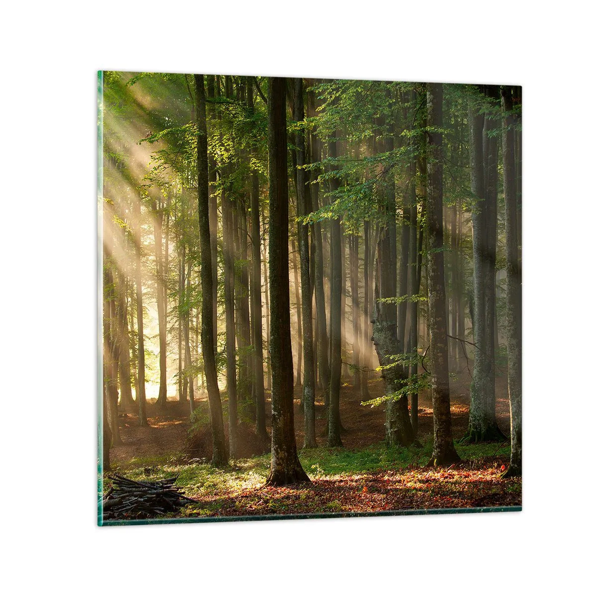 Obraz na skle - Rozžiarený v jarnom ráne - 30x30 cm