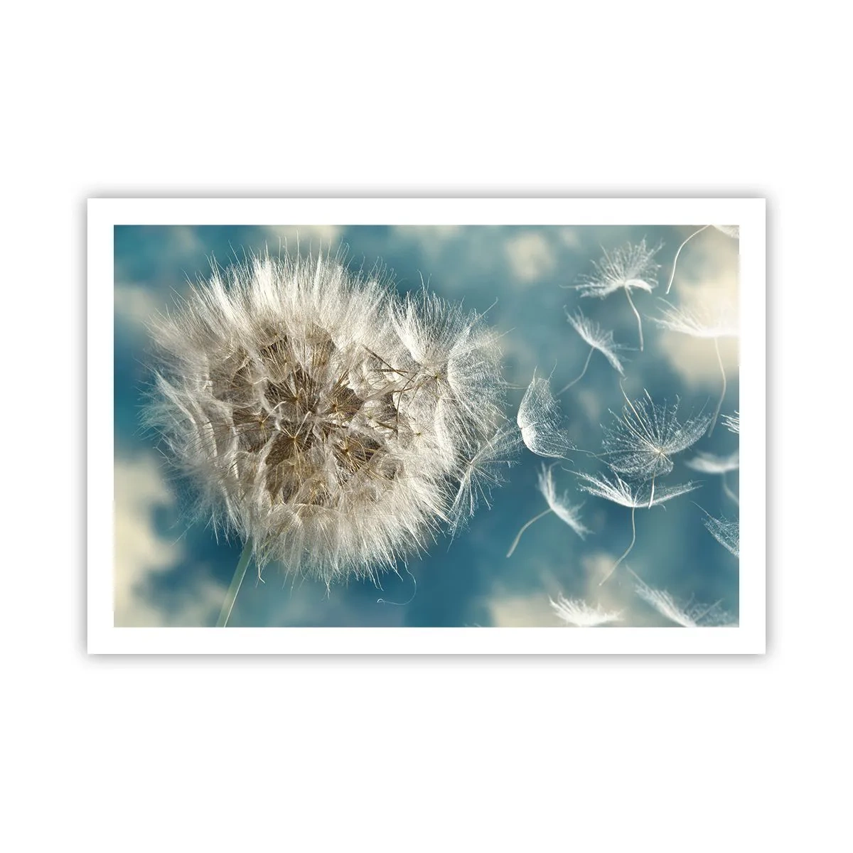 Plagát - Dych anjela - 91x61 cm