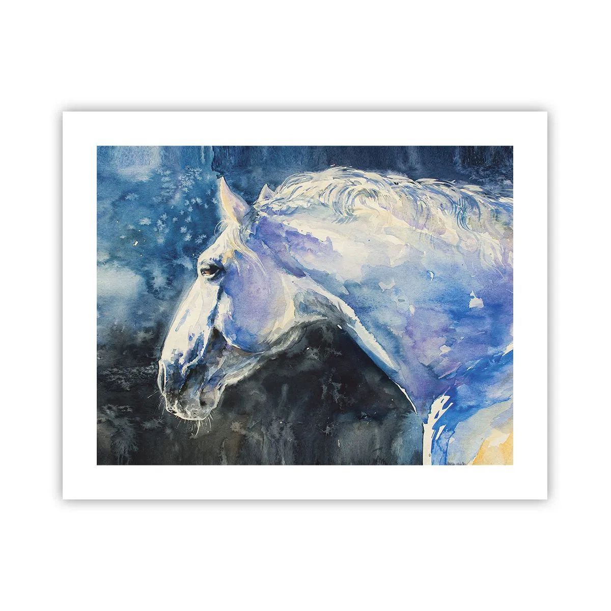 Plagát - Portrét v modrej žiare - 50x40 cm