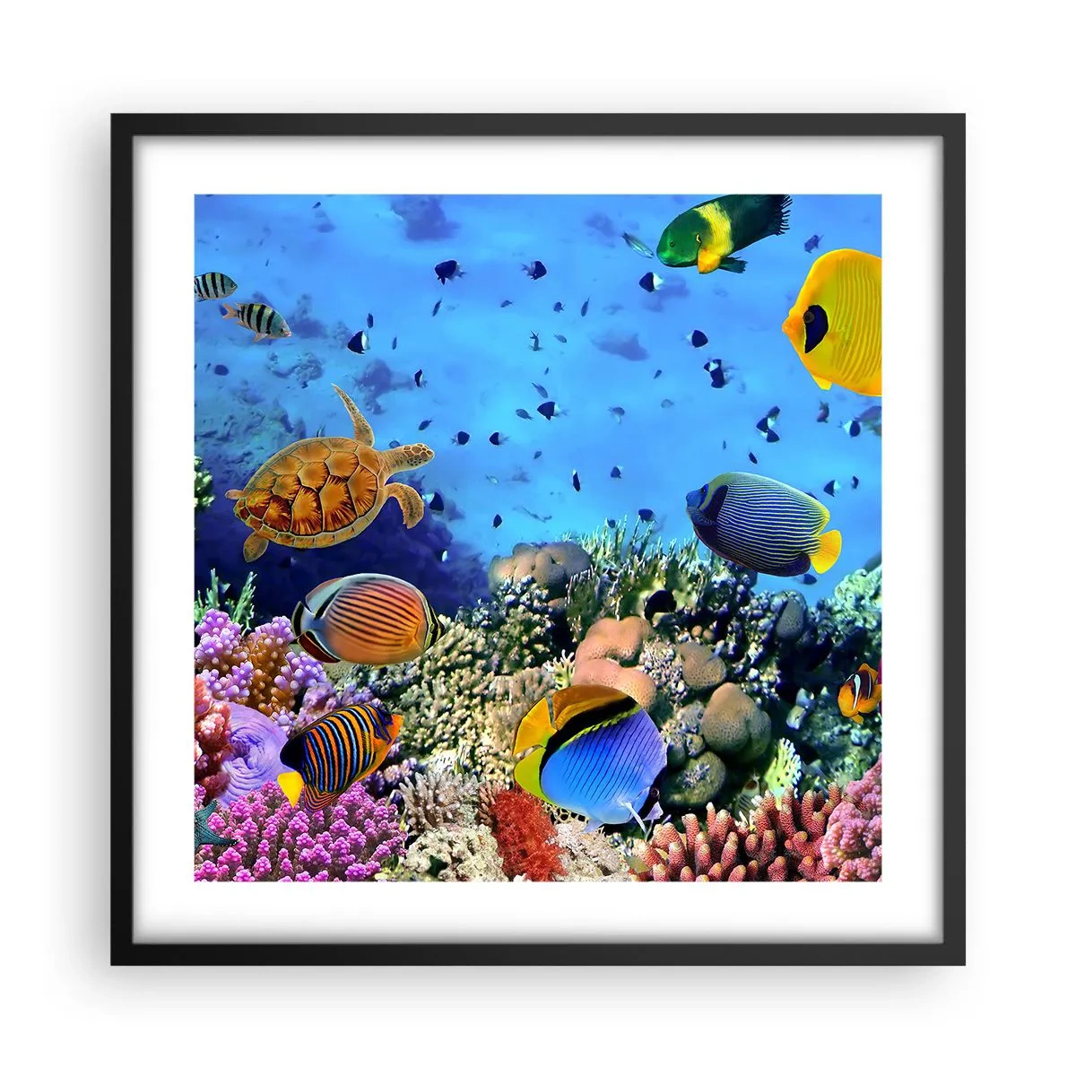 Plagát v čiernom ráme - Čo vieme o živote… - 50x50 cm