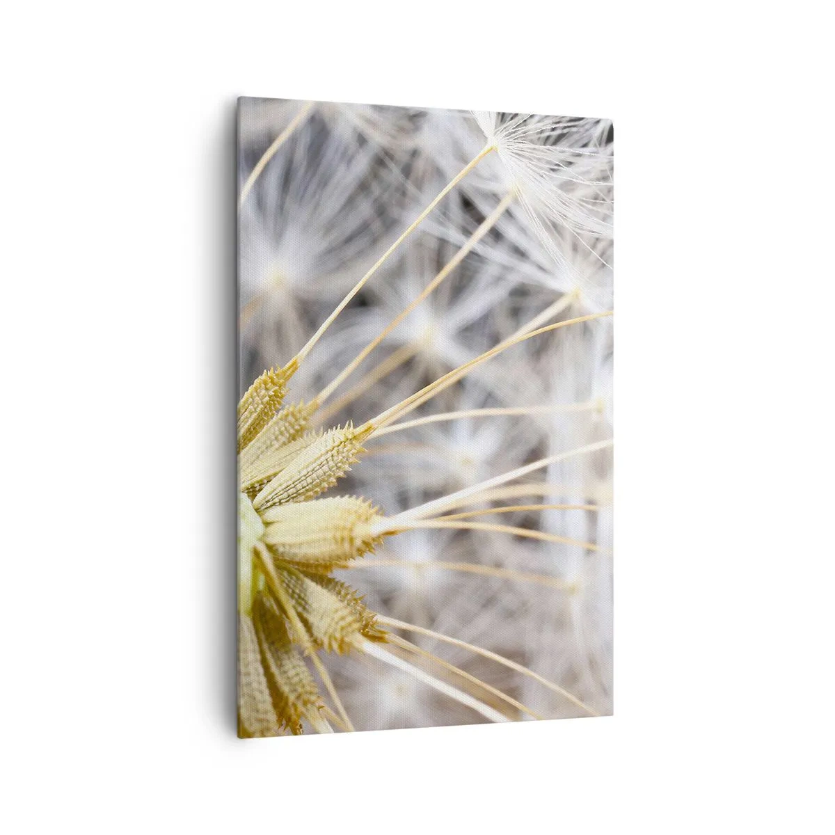 Obraz na plátne - Tesne pred odletom - 80x120 cm