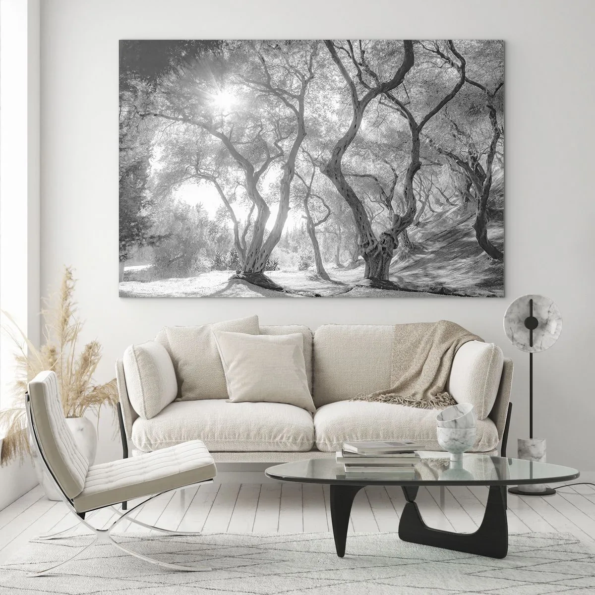 Obraz na skle - Čierne a biele olivovníky na slnečnom svetle - 70x50cm - V olivovom háji - Moderná nástenná dekorácia do obývacej izby a spálne ARTTOR