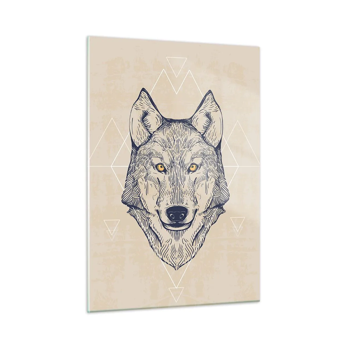 Obraz na skle - Alfa o prenikavom pohľade - 50x70 cm