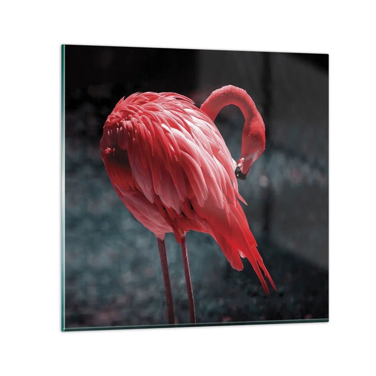 Obraz na skle - Karmínová báseň prírody - 40x40 cm
