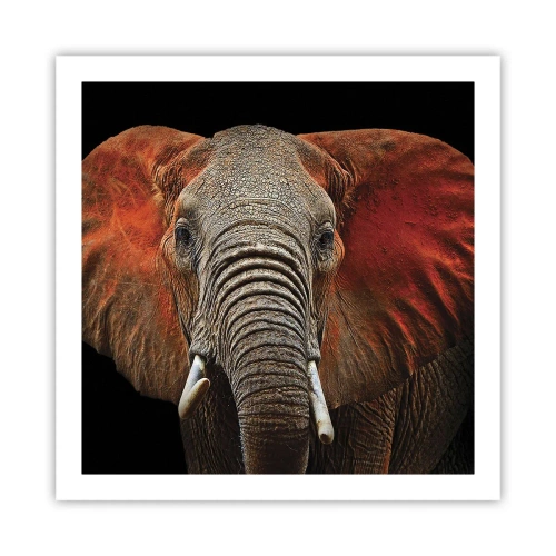 Plagát - Som divoký, a ty? - 60x60 cm