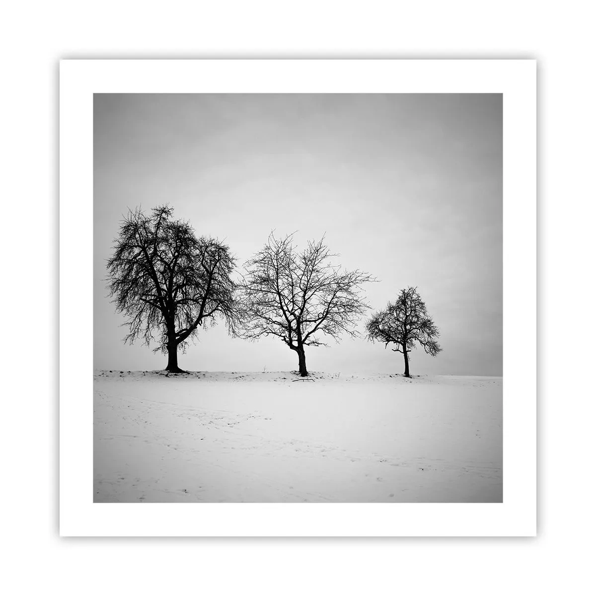 Plagát - O čom sníva? - 50x50 cm